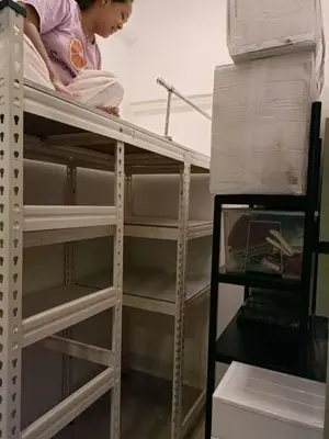 Boltless Rack SG, Storeroom Rack, Storage Rack, Shelving Bed Rack helper-bunk-bed-singapore Bomb shelter loft bed  